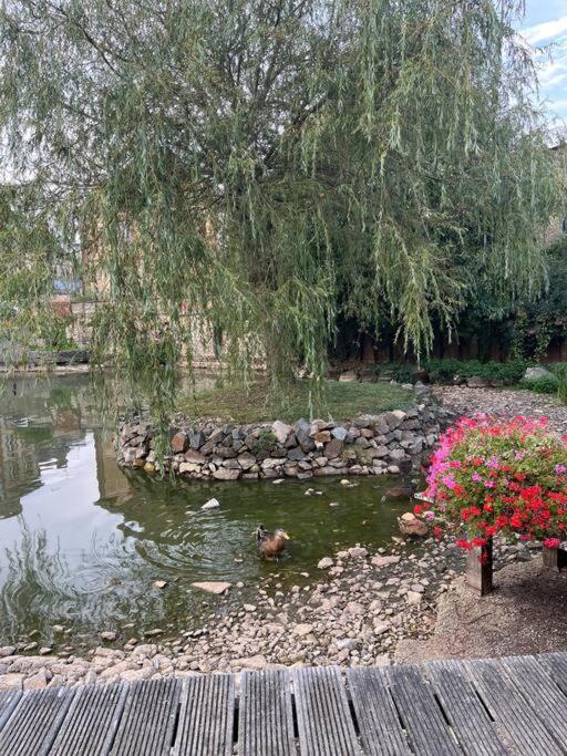 La Maison Du Perche Avec Jacuzzi Saint-Martin-des-Pezerits Ngoại thất bức ảnh